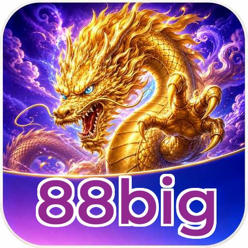 Audit profile 88big